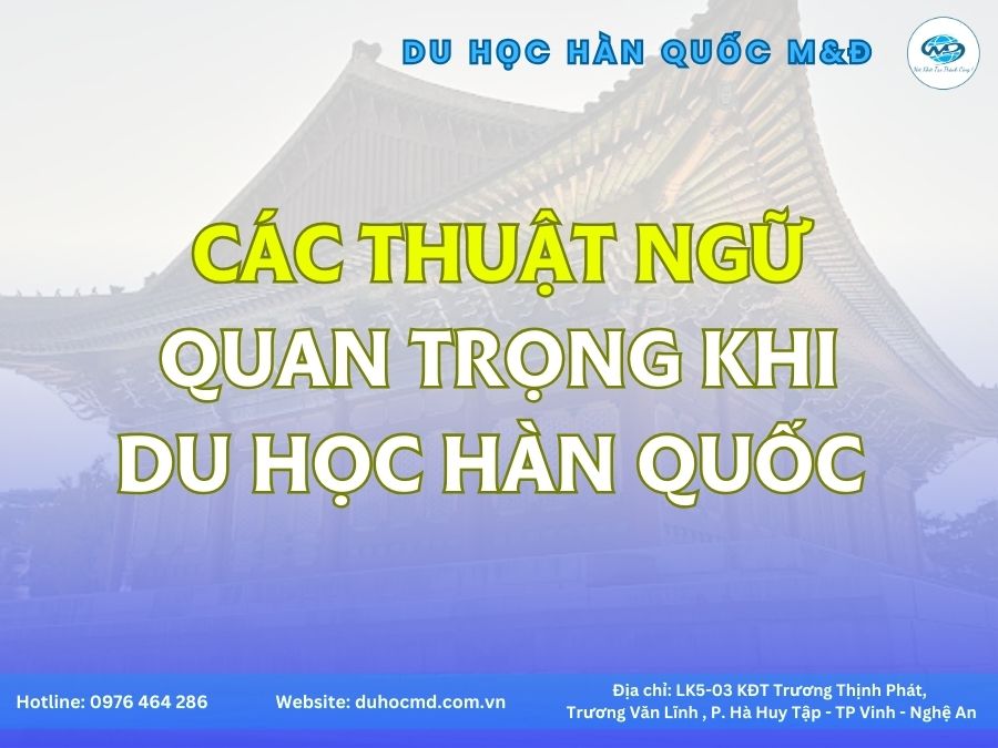 Các thuật ngữ quan trọng khi đi du học Hàn Quốc